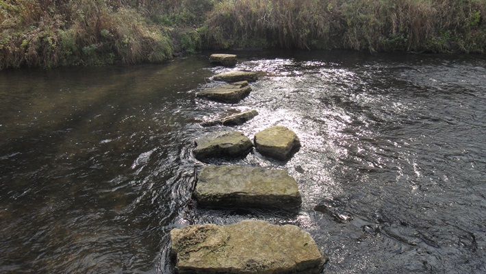Stepping stones across a stream