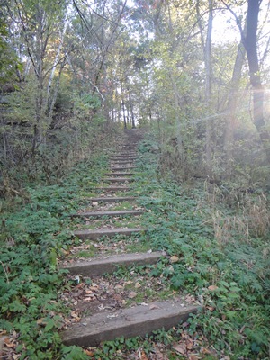 A series of railroad tie steps in the woods