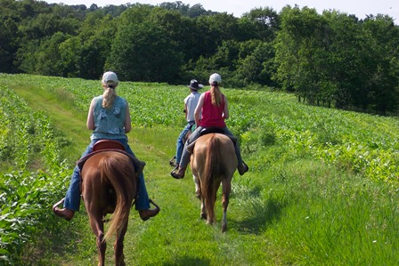 Horseback riders crossing a field
