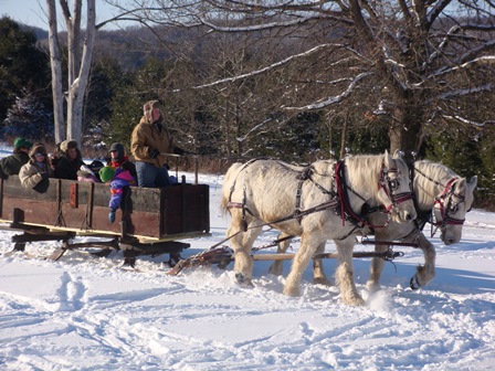 Horse drawn sleigh ride at the KVR Winterfest