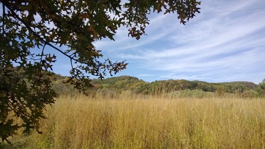 A fall view across the prairie with hills in the background